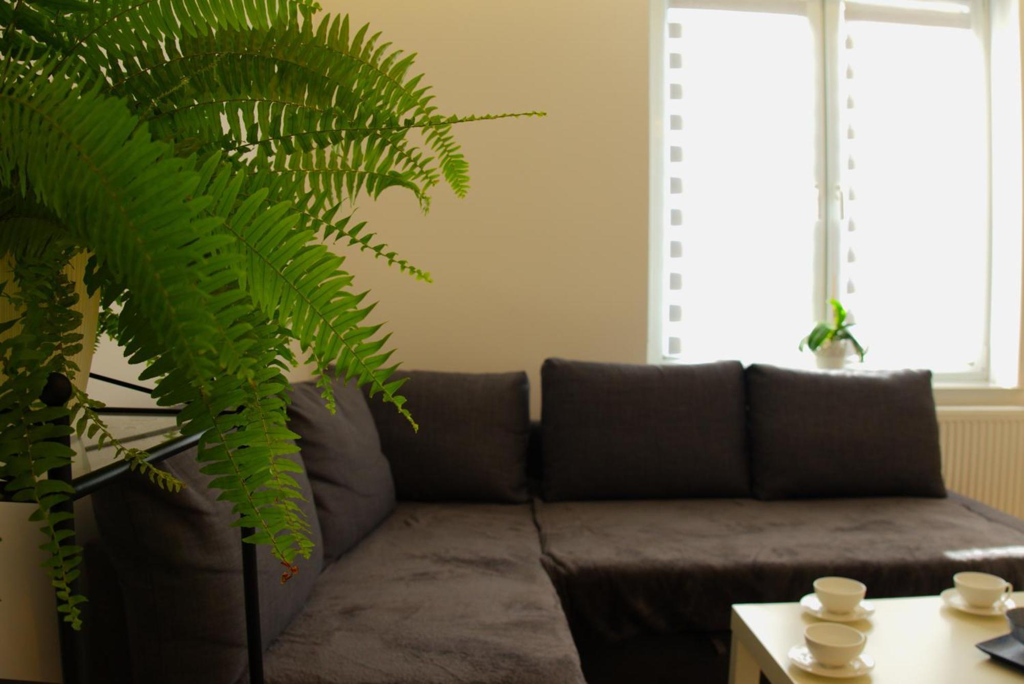 Apartament Centrum Rynek โบเลสวาเวียส ภายนอก รูปภาพ